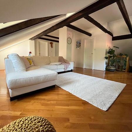 Riverside Villa Avo - Apartment Sara Spodnja Idrija Zewnętrze zdjęcie