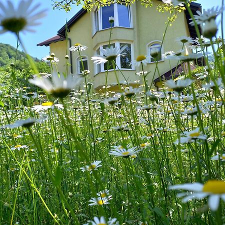 Riverside Villa Avo - Apartment Sara Spodnja Idrija Pokój zdjęcie