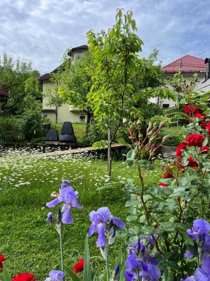 Riverside Villa Avo - Apartment Sara Spodnja Idrija Zewnętrze zdjęcie